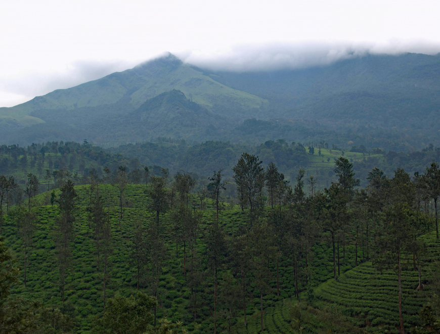 Wayanad